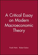 Critical Essay on Modern Macroeconomic Theory