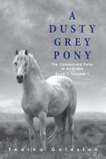 A Dusty Grey Pony Book 1 Volume 1