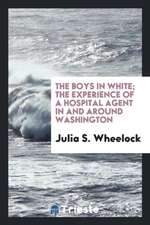 The Boys in White; The Experience of a Hospital Agent in and Around Washington