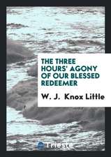 The Three Hours' Agony of Our Blessed Redeemer: Addresses