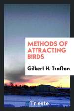 Methods of Attracting Birds