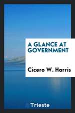 A Glance at Government