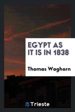 Egypt as It Is in 1838