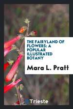 The Fairyland of Flowers: A Popular Illustrated Botany