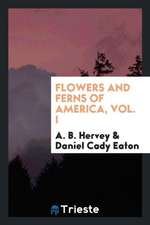 Flowers and Ferns of America, Volume 1