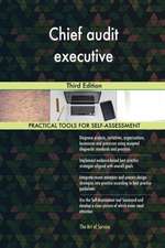 Chief audit executive Third Edition