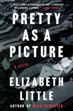 Pretty As A Picture: A Novel