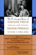 The Correspondence of Sigmund Freud & Sandor Ferenczi V 2 1914 – 1919