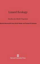 Lizard Ecology