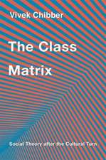 The Class Matrix – Social Theory after the Cultural Turn