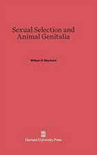 Sexual Selection and Animal Genitalia