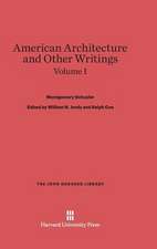 American Architecture and Other Writings, Volume I