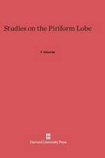 Studies on the Piriform Lobe