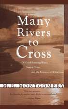 Many Rivers to Cross