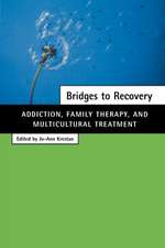 Bridges to Recovery