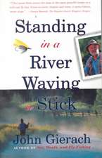 Standing in a River Waving a Stick