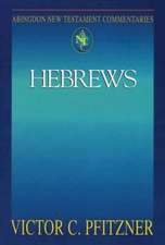 Abingdon New Testament Commentaries: Hebrews