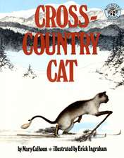 Cross-Country Cat