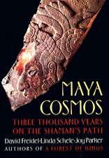 Maya Cosmos