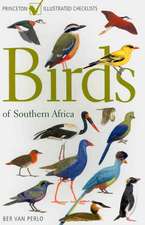 Birds of Southern Africa