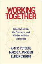 Working Together – Collective Action, the Commons, and Multiple Methods in Practice