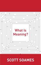 What Is Meaning?