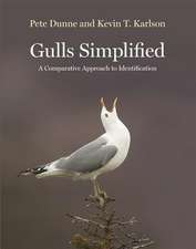 Gulls Simplified – A Comparative Approach to Identification