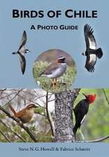 Birds of Chile – A Photo Guide