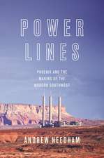 Power Lines – Phoenix and the Making of the Modern Southwest