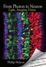 From Photon to Neuron – Light, Imaging, Vision