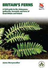 Ferns – Clubmosses, Quillworts and Horsetails of Britain and Ireland