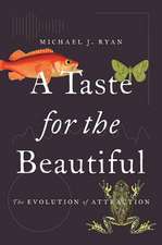 A Taste for the Beautiful – The Evolution of Attraction