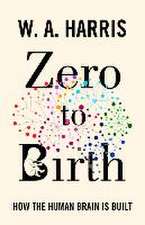 Zero to Birth – How the Human Brain Is Built