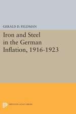 Iron and Steel in the German Inflation, 1916–1923