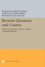 Between Quantum and Cosmos – Studies and Essays in Honor of John Archibald Wheeler