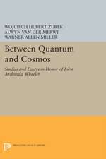 Between Quantum and Cosmos