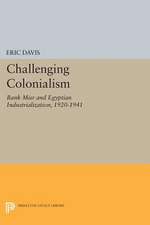 Challenging Colonialism – Bank Misr and Egyptian Industrialization, 1920–1941