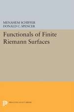 Functionals of Finite Riemann Surfaces