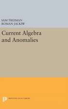 Current Algebra and Anomalies