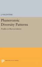 Phanerozoic Diversity Patterns