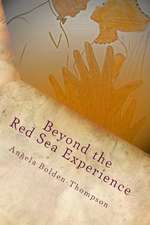 Beyond the Red Sea Experience