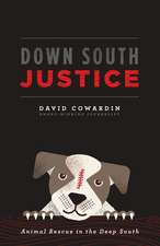 Down South Justice