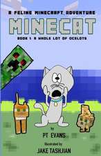 Minecat Book 1