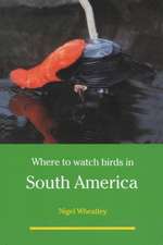 Where to Watch Birds in South America