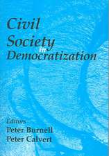 Civil Society in Democratization