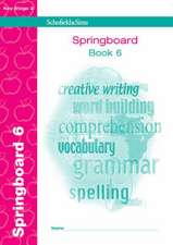 Springboard Book 6