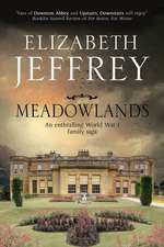 Meadowlands: A World War I Family Saga