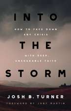 Into the Storm