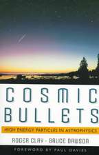 Cosmic Bullets: High Energy Particles In Astrophysics