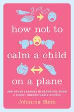 How Not to Calm a Child on a Plane: And Other Lessons in Parenting from a Highly Questionable Source